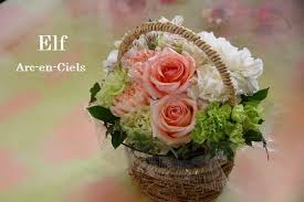 「花薔薇エルフ」の画像検索結果