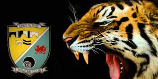 Image result for Presteigne Bowling Club