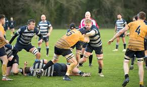 Image result for Teddington Rfc