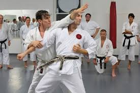 Image result for Shotokan Karate