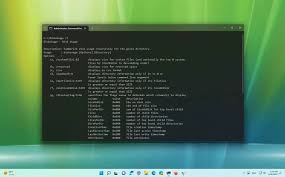 Image result for windows disk usage