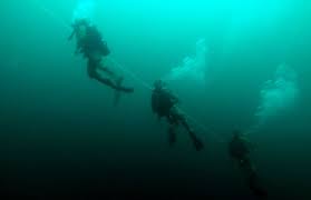 Image result for University Of London Sub-Aqua Club