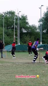 Image result for Biddenham Cricket Club