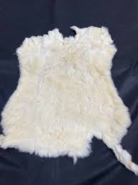 Image result for white rabbit skin texture