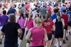 Image result for Portway Plodders