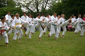 Image result for Mickleham Seiki Juku Karate Club