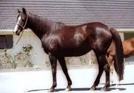 Image result for Bletchingly Badminton Club