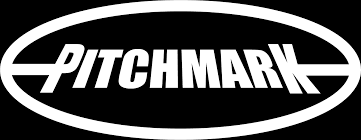 Image result for Pitch marking blog