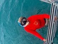 Image result for Looe Diving Club