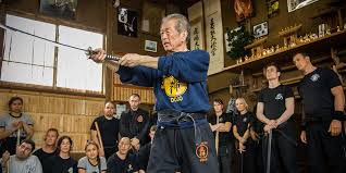 Image result for Bujinkan Lincon Dojo