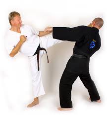 Image result for GBMAA EPSOM AND LEATHERHEAD MARTIAL ARTS ACADEMY