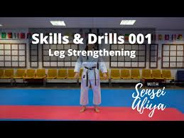 Image result for Zen Shin Seicho Do Adult Karate