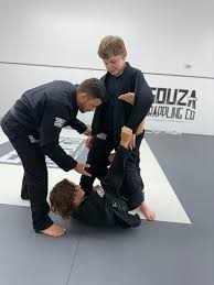 Image result for Martial Art Centre of Excellence