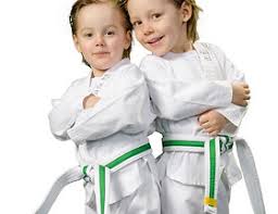 Image result for Kidderminster Tae Kwon Do Tigers