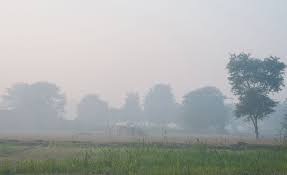 Image result for 光化学SMOG