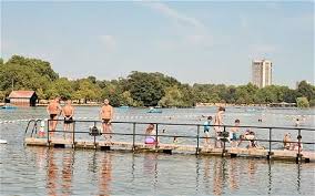 Image result for Serpentine Swimming Club