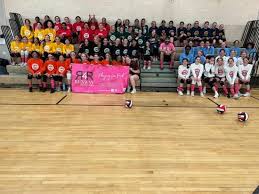 Image result for Andover Junior Badminton Club