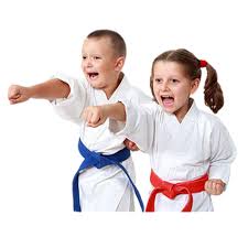 Image result for Park's Martial Arts Coral Springs