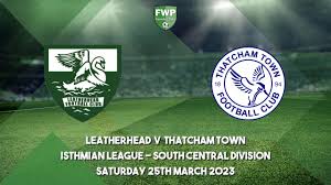Image result for Leatherhead Football Club