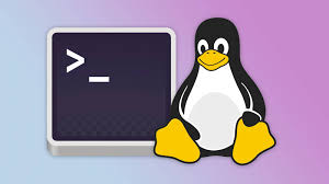 Image result for linux penguin