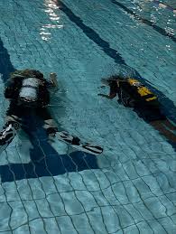 Image result for East Cheshire Sub-Aqua Club