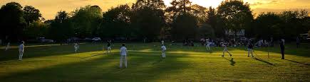 Image result for Thames Ditton Cricket Club