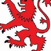 Image result for Shalford Cricket Club