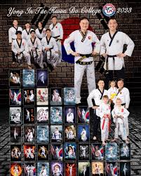 Image result for Dujon Tae Kwon Do