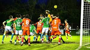 Image result for Leatherhead Swans Club
