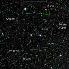 Attēlu rezultāti vaicājumam “Grus grus”