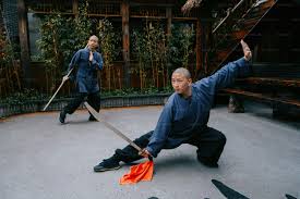 Image result for kung fu