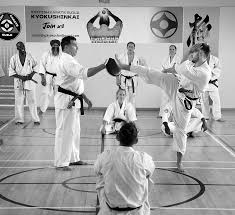 Image result for Great Britain Martial Arts Academy