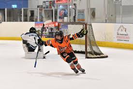 Image result for Telford Junior Ice Hockey Club