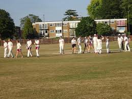 Image result for Harpenden Cricket Club