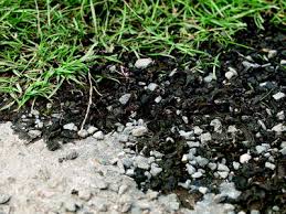 Attēlu rezultāti vaicājumam “Nostoc commune”