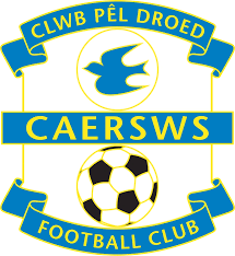 Image result for Caersws Quoits Club