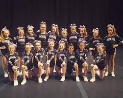 Image result for Phoenix Stars Cheerleaders