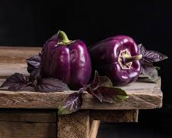 Afbeeldingsresultaat voor purple beauty sweet pepper