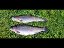 Image result for Bargoed Sea Anglers