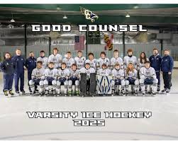 Image result for Godalming In-Line Hockey Club