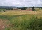 Like ST0920 : From Fisher's Hill (the line of trees on the right can be seen - via Daymix