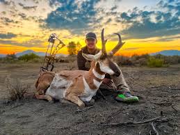 Image result for Rivernook Bowmen