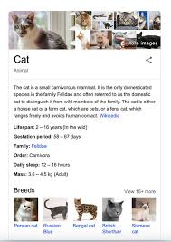 Bildergebnis für seo karten image