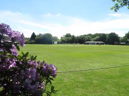 Image result for Thornton Cleveleys Cricket Club