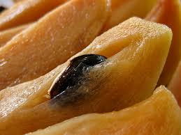 Attēlu rezultāti vaicājumam “Galium schultesii fruit”