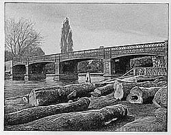 Image result for Bridge Section Walton On Thames Conservative Club