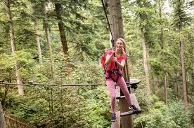 Image result for The Go Ape Experience (Swinley Forest)