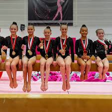 Image result for City Of Newcastle Gymnastics Academy