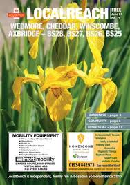 Image result for Wedmore Badminton Club