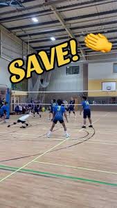Image result for Wessex Volleyball Club